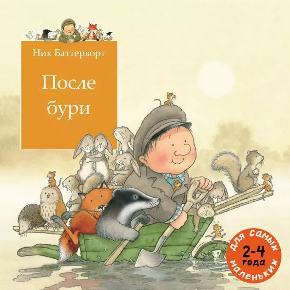 После бури