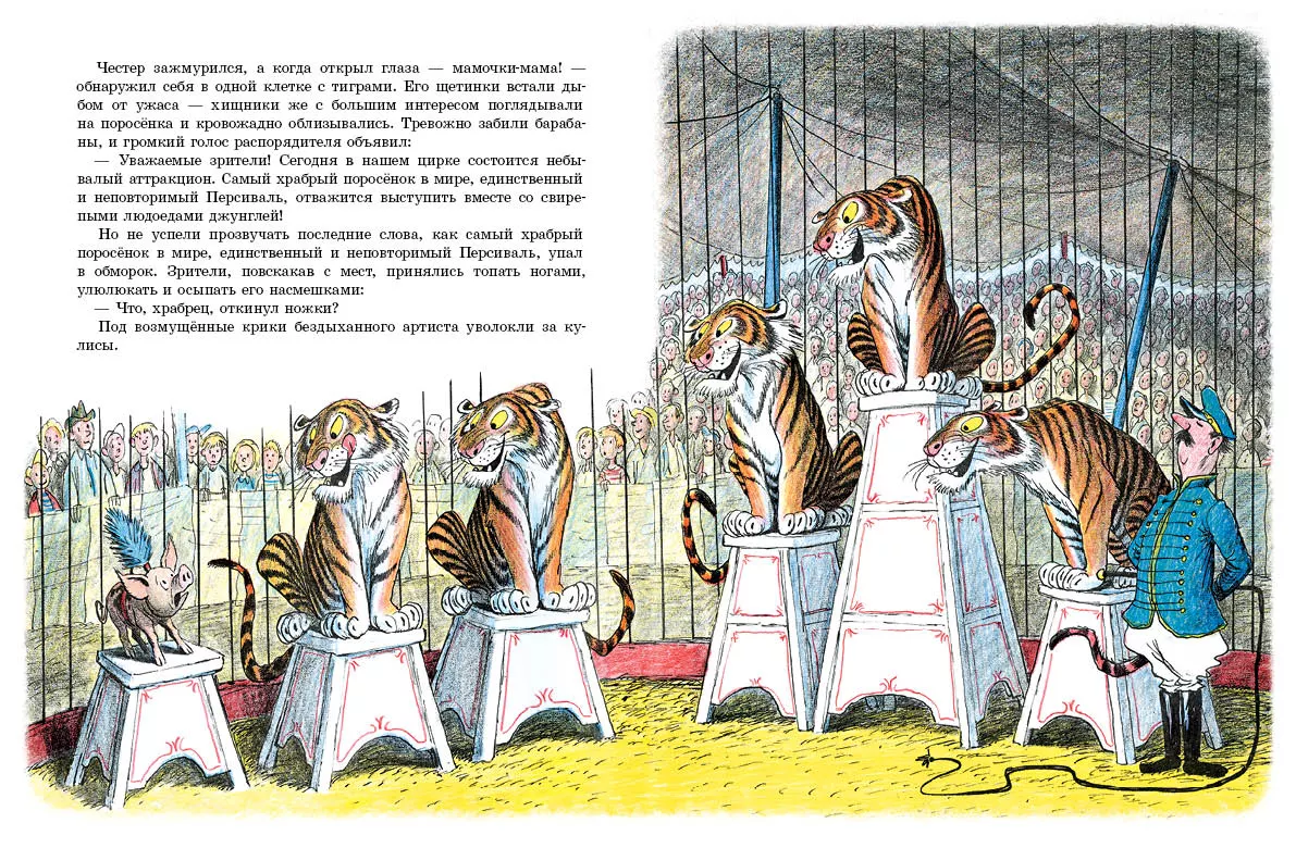 Скрябка-отшельник — изображение 3