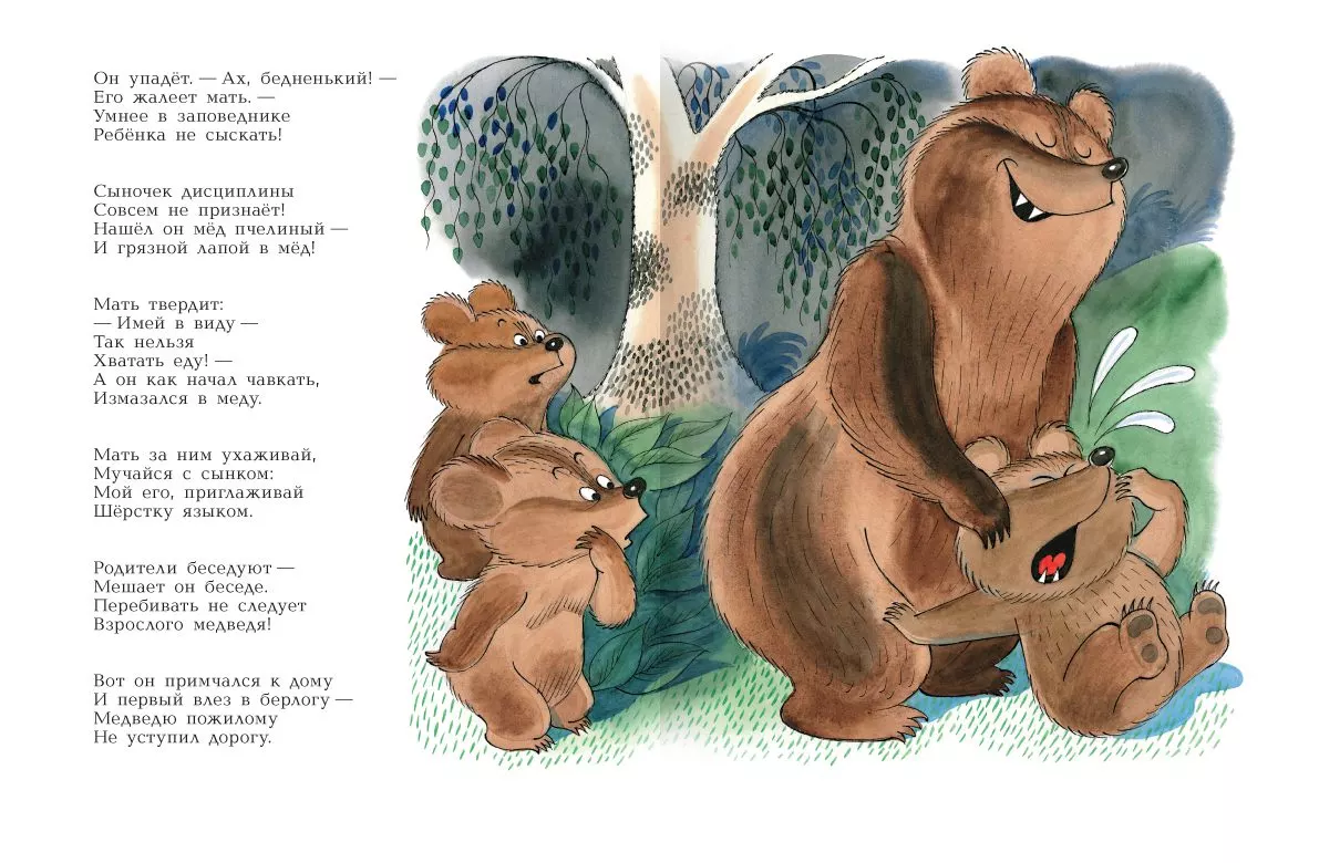 Медвежонок-невежа — изображение 3