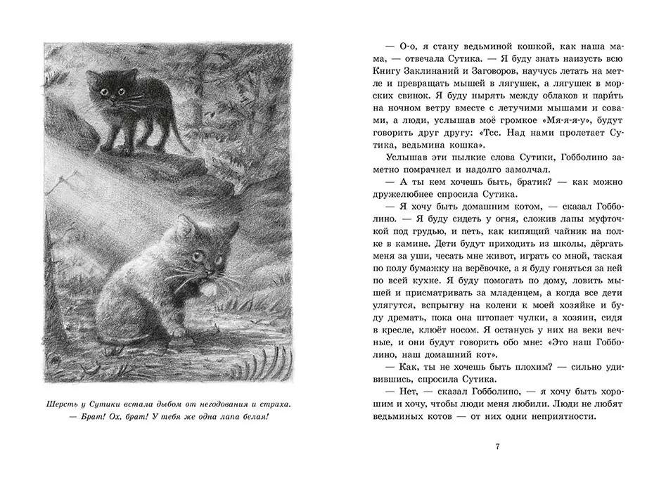 Гобболино – ведьмин кот — изображение 2