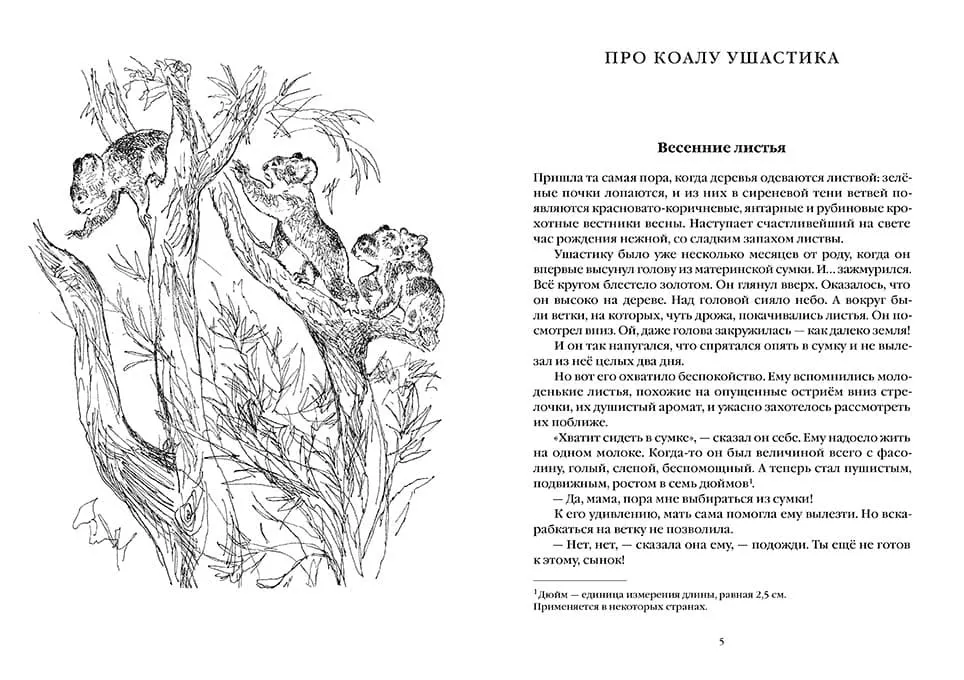 Про коалу Ушастика, утконоса Тихоню и других — изображение 2