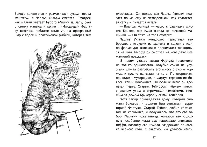 Кот Фартук — изображение 4