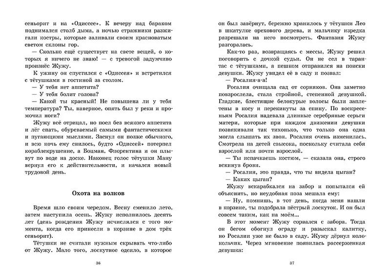 Безбилетный пассажир — изображение 3