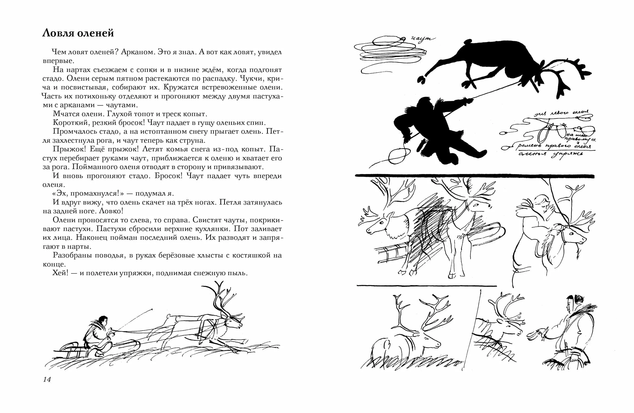 Путешествие за Полярный круг — изображение 3