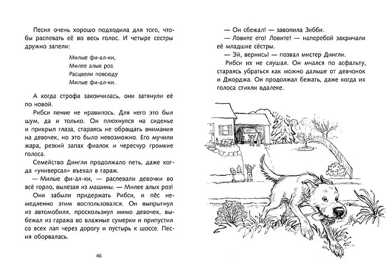 Рибси — изображение 2