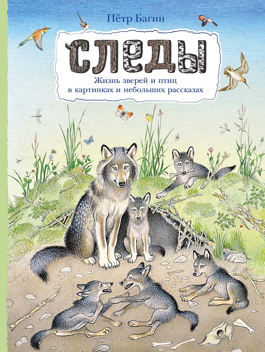 5 книг для малышей, чтобы рассказать о природе
