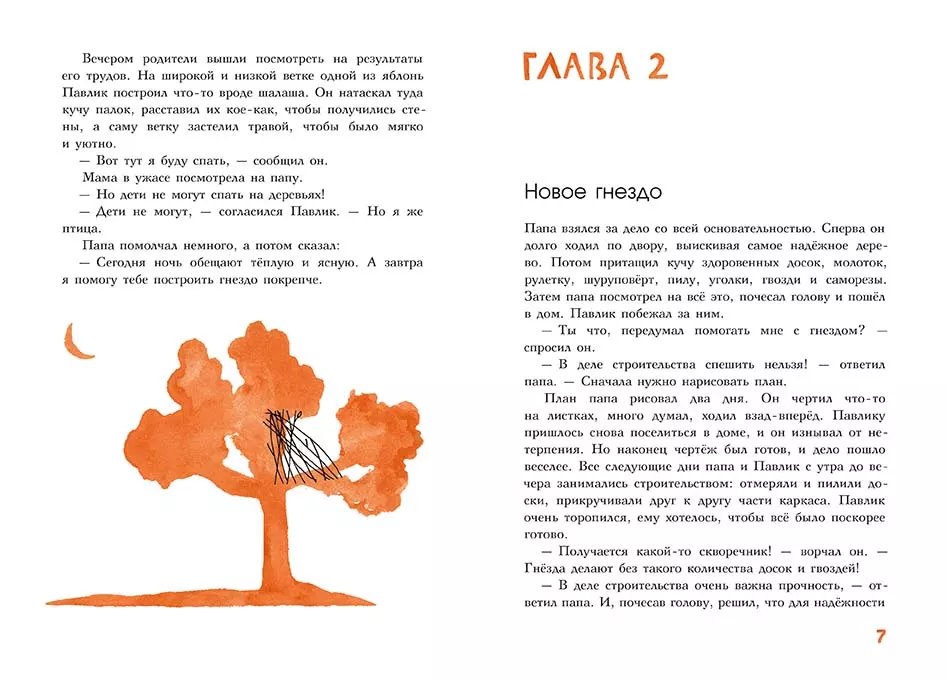 Мальчик, который стал птицей — изображение 2