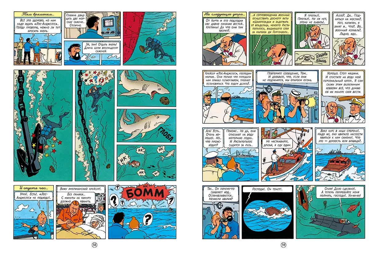 Акулы Красного моря — изображение 5