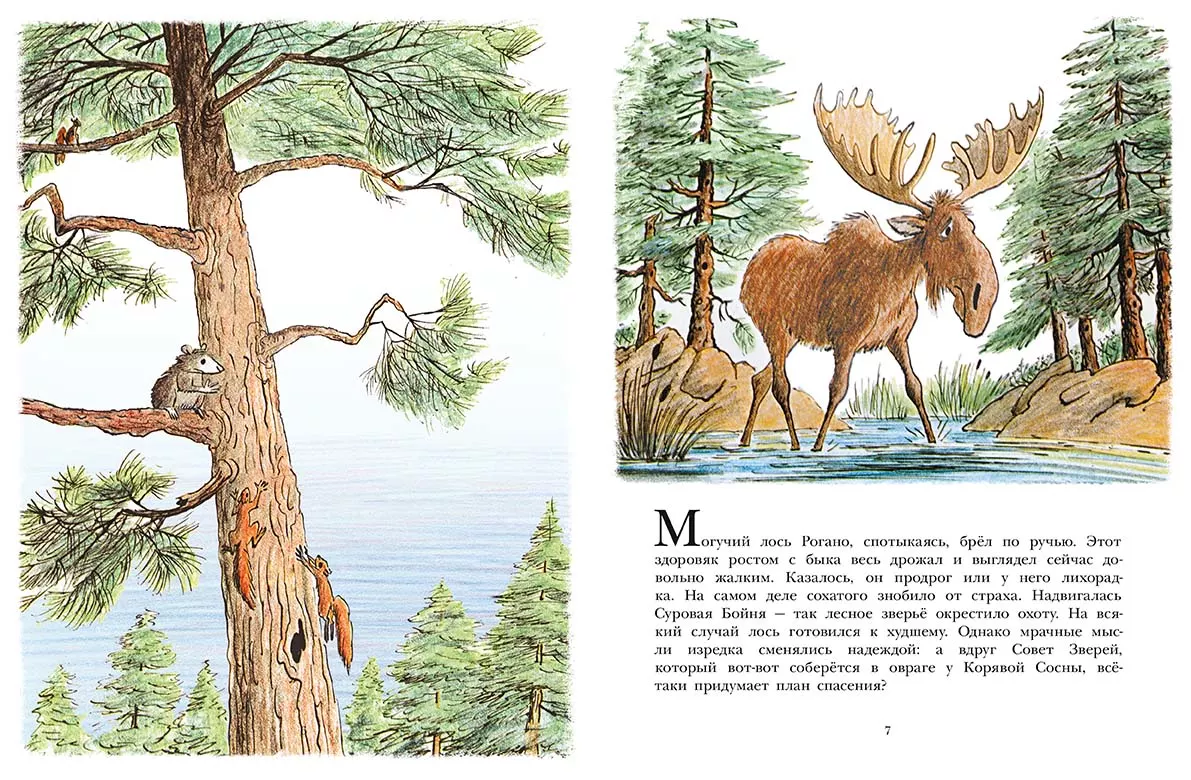 Лев по имени Илай — изображение 4