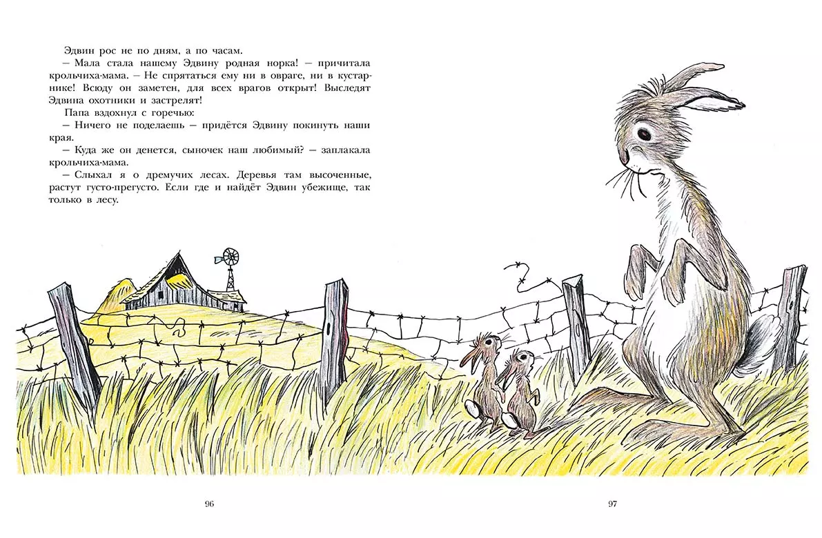 Лев по имени Илай — изображение 3
